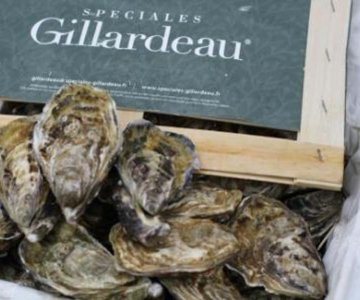 Gillardeau